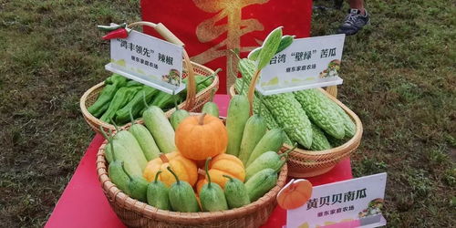 桐乡十大市民最喜爱农产品评选活动火热开启，投票参与赢好礼！